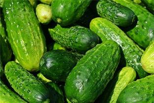 梦见吃瓜有蛆虫,吃瓜遇蛆虫背后的寓意与启示