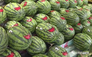 大班看花和吃瓜,大班童趣盎然