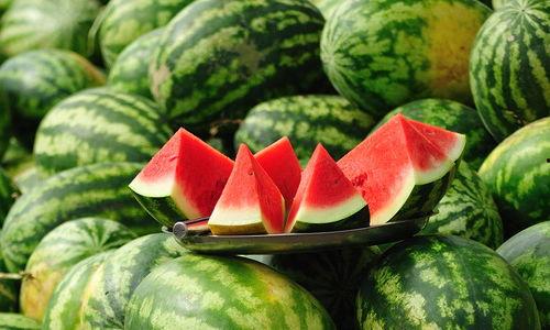 吃喜瓜比赛,喜瓜比赛欢乐盛宴