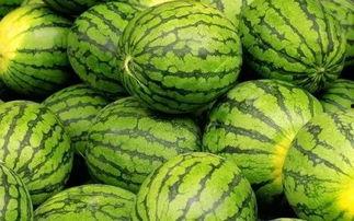 吃喜瓜比赛,喜瓜比赛欢乐盛宴