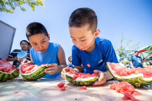 吃喜瓜比赛,喜瓜比赛欢乐盛宴