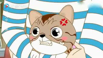 吃瓜小小侠,揭秘娱乐圈幕后故事