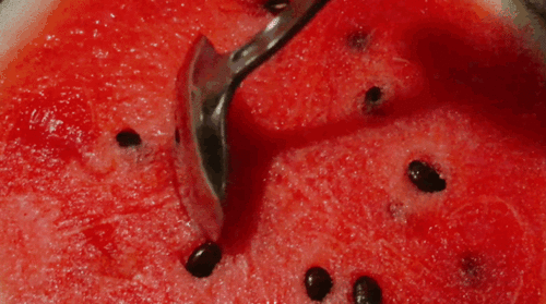 艺芝吃瓜,揭秘娱乐圈背后的那些事儿