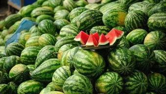 香菜吃瓜,夏日清新美食新体验