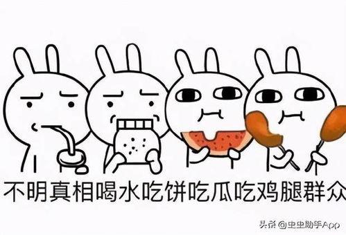 带猪头的吃瓜,揭秘网络热梗背后的趣味与思考