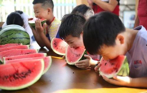 家庭吃瓜比赛视频