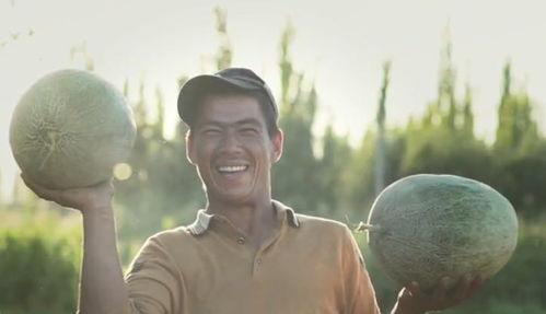 备胎吃瓜张大贵,揭秘网络红人的崛起之路