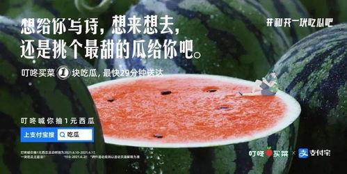 陪你吃瓜文案,揭秘娱乐圈那些不为人知的幕后故事